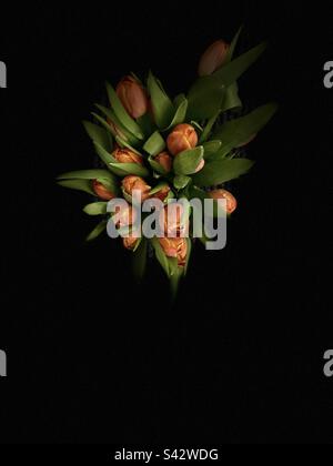 Bouquet de tulipes d'en haut, sur fond sombre Banque D'Images