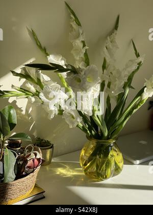 Aster de septembre dans vase jaune recyclé Banque D'Images