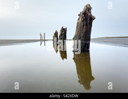Pylônes/poteaux en bois d'un quai abandonné se reflétant sur la plage à marée basse sur la côte de l'État de Washington Banque D'Images