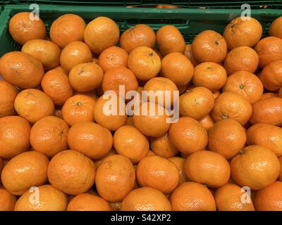 Oranges mandarines fraîches bio exposées à la vente dans un supermarché, province d'Alicante, Espagne Banque D'Images