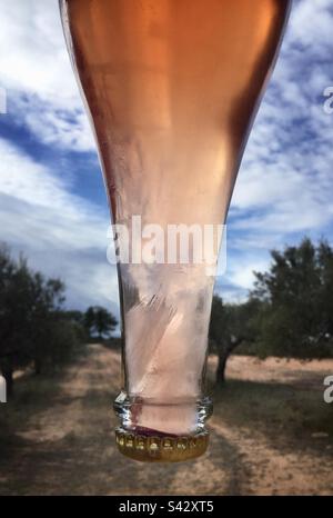 Dégustation de vin mousseux avec col de bouteille surgelé, Catalogne, Espagne. Banque D'Images