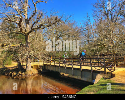 Cyclistes qui se trouvent sur le pont au printemps au-dessus de la rivière Lymington dans le parc national de New Forest Brockenhurst Hampshire Royaume-Uni Banque D'Images