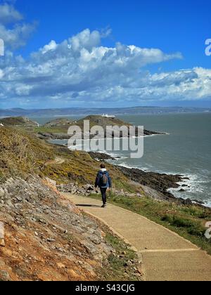 Walker sur le chemin côtier du pays de Galles, en direction de Limeslade Bay depuis Langland Bay, avril. Banque D'Images