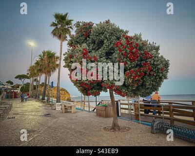Promenade en bord de mer en soirée dans la ville d'Olhos de Àgua en Algarve, Portugal. Banque D'Images