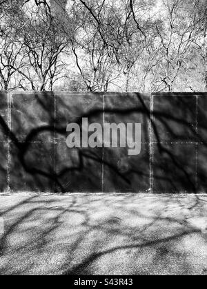 Ombres d'arbre abstraites sur une clôture métallique Banque D'Images