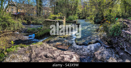 Ruines d'un ancien moulin à papier, sur la rivière Dour, dans le parc de l'abbaye de Kearsney Banque D'Images