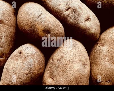 Cadre complet de pommes de terre rousslées Banque D'Images