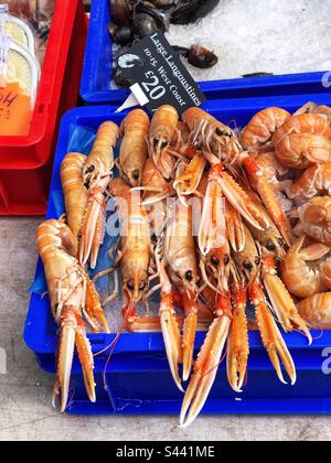 Les grandes Langoustines de la côte ouest ont été vendues dans un marché agricole Banque D'Images