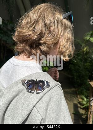 Adolescente avec un papillon bleu de lune reposant sur son épaule Banque D'Images