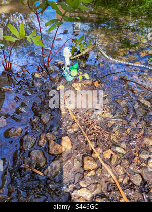 Star Wars Clone Trooper pêche un jour de pluie avec sa grenouille. Vue verticale grand angle. Banque D'Images