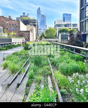 The Highline à New York avec The Edge in Background Banque D'Images