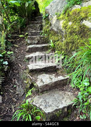 Vieux marches en pierre dans un jardin au château de Blarney et jardins à Blarney, Irlande. Banque D'Images