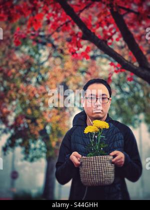 Portrait d'un jeune asiatique en lunettes portant une plante à fleurs en pot de chrysanthème jaune dans un panier par jour de brouillard sous les arbres de couleur feuille d'automne. Banque D'Images