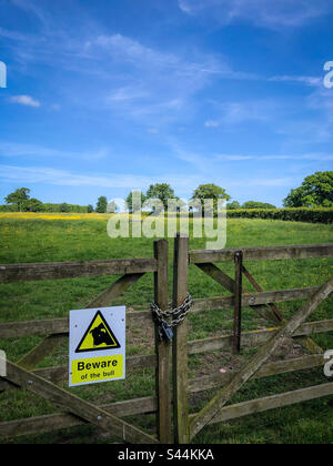 Un terrain d'herbe en été avec un panneau indiquant “Beware of the Bull”. North Yorkshire, Angleterre, Royaume-Uni Banque D'Images