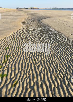 Les tendances des marées sur le sable Banque D'Images