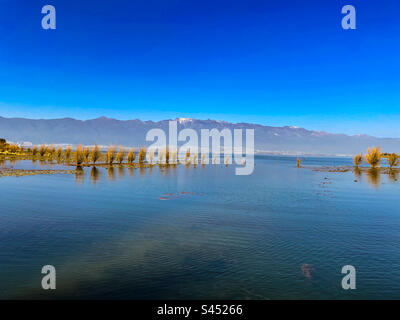 Herbe poussant dans le lac par les montagnes Banque D'Images