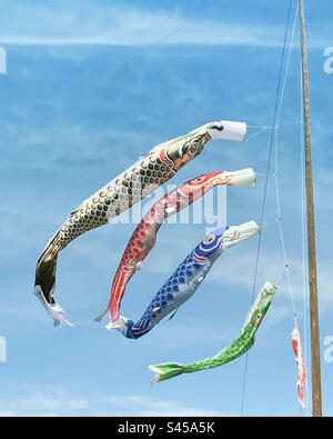 Drapeaux Koinobori flottant sur la journée des enfants du Japon. Banque D'Images