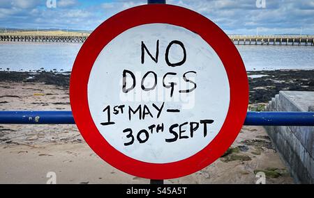 «No Dogs» un panneau peint à la main indiquant que les chiens ne sont pas autorisés sur la plage entre mai et septembre. Banque D'Images