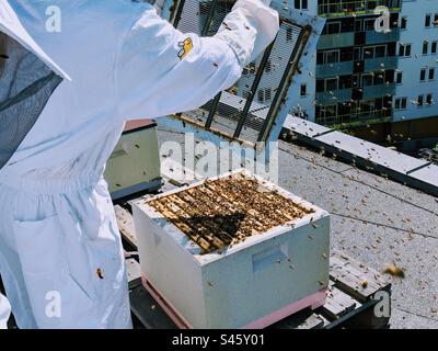 Une personne en costume d'apiculture tient un panneau d'abeilles sur un toit en ville par une journée ensoleillée Banque D'Images