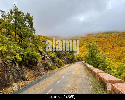 Route et paysage d'automne. Riofrio de Riaza, province de Ségovie, Castilla Leon, Espagne. Banque D'Images