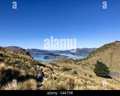 Femme marchant dans les Port Hills avec une vue sur Diamond Harbour à Christchurch, Nouvelle-Zélande. Banque D'Images