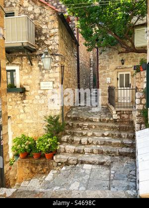 Petit coin de la vieille ville de Dubrovnik, Ulica Zamanjina, avec des marches typiques, des plantes et des ruelles étroites, Croatie. Banque D'Images