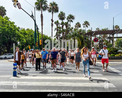 Piétons marchant sur le passage de zèbre à Malaga Espagne Banque D'Images