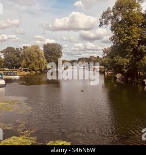 La Tamise, Goring, Oxfordshire Banque D'Images