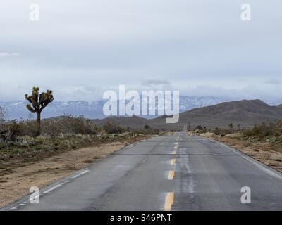 Route du désert menant aux montagnes du sud de la Californie par temps couvert. Joshua arbre au bord de la route Banque D'Images