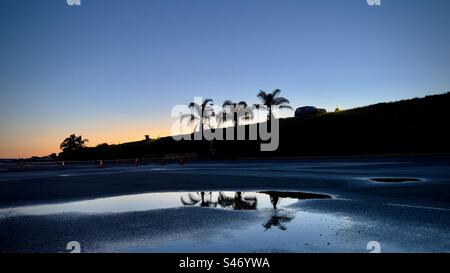 Vue large, silhouette SUV et palmiers au sommet de la colline avec ciel de coucher de soleil orange en arrière-plan et reflets sur les flaques d'eau dans le parking au premier plan Banque D'Images