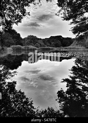 Vue monochromatique du lac ornemental dans le parc commun de Southampton, Royaume-Uni Banque D'Images
