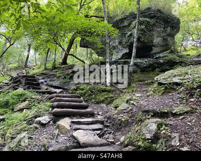 Hobbit maison dans la forêt Banque D'Images