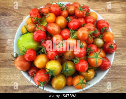 Tomates biologiques maison, fraîchement cueillies dans un bol Banque D'Images