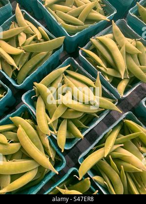 Jardinage de haricots frais à vendre au marché fermier local. Banque D'Images