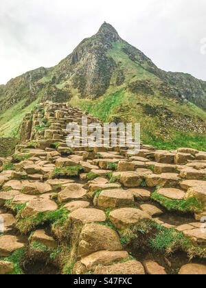 Giant's Causeway, l'Irlande du Nord Banque D'Images