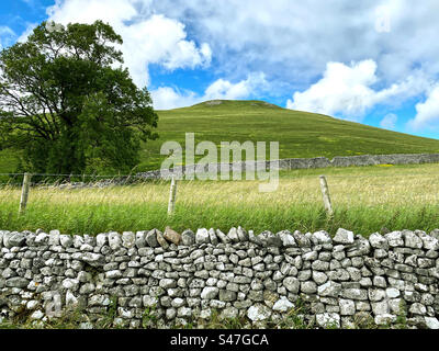 Vue du sommet de la colline, au-dessus de Gordale SCAR, sur Gordale Lane, avec des murs en pierre sèche, de l'herbe et des arbres à Malham, Skipton, Royaume-Uni Banque D'Images