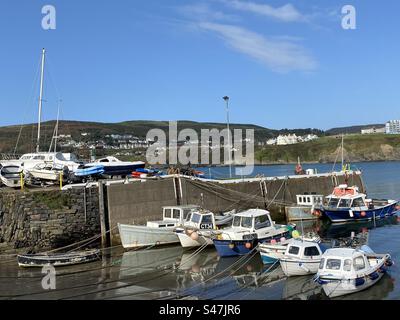 Bateaux à Port Erin. Île de Man Banque D'Images