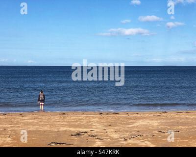 Solitary Walker sur la plage de Yellowcraig donnant sur l'estuaire du Forth, East Lothian Scotland Banque D'Images