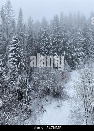 Montagnes des Carpates. Photo prise en Ukraine Banque D'Images