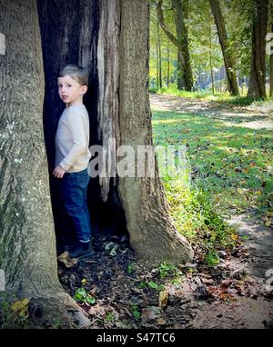 Un jeune garçon debout dans un grand arbre creux en Géorgie du Nord. Banque D'Images