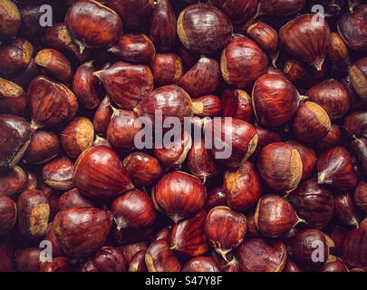 Un lot de châtaignes fraîches Banque D'Images