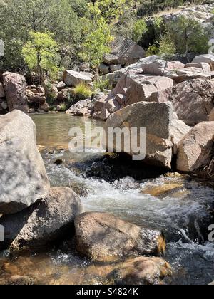 Ellison Creek, Water Wheel Falls Trail, rochers de granit rose, feuilles lumineuses rétroéclairées, Payson, Arizona Banque D'Images