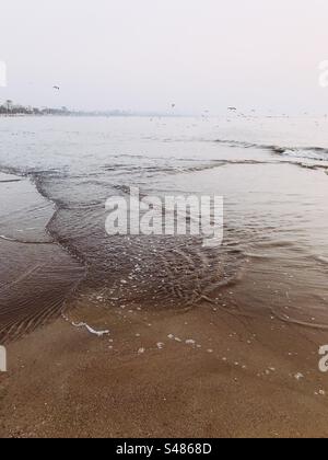 Plage avec des oiseaux volant en arrière-plan Banque D'Images