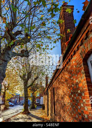 Tôt le matin en automne, en regardant devant des platanes, sur le côté de Tomkins Alms Houses jusqu'à Ock Street, Abingdon on Thames, Oxfordshire, Angleterre Banque D'Images