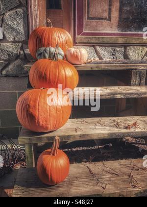 Citrouilles sur les marches avant Banque D'Images