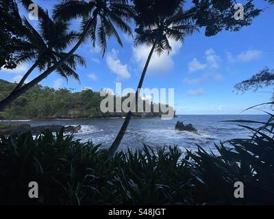 Une belle plage le long de la côte de la Grande île, Hawaï avec des plantes et des palmiers entourant le cadre Banque D'Images