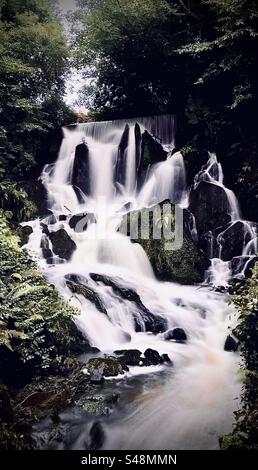 Crawfordsburn Waterfall Banque D'Images