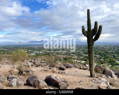 Géant Saguaro Cactus, sentier Cholla, Camelback Mountain, réserve des montagnes Phoenix, vue sur les montagnes McDowell entourées de nuages tôt le matin, surplombant Scottsdale, Arizona Banque D'Images