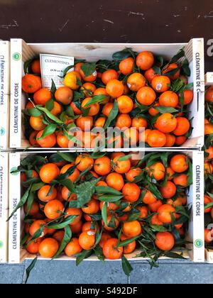 Ripe Christmas Clementines prix en vente à l'épicerie locale Banque D'Images