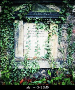 Vieille pierre tombale à Canongate Kirkyard à Édimbourg avec du lierre traînant dessus. Banque D'Images